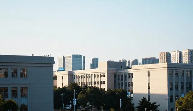 视频剪辑在提升品牌忠诚度中的适用条件与选择依据